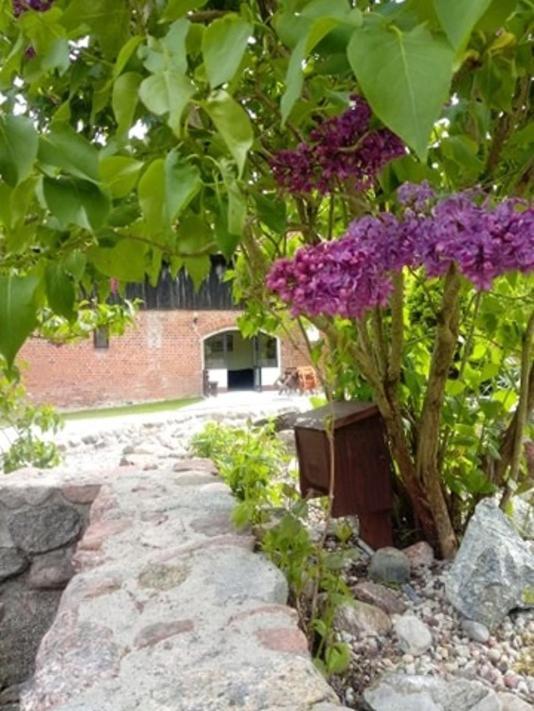 Folwark Tumiany Pokoje & Restauracja Exterior foto
